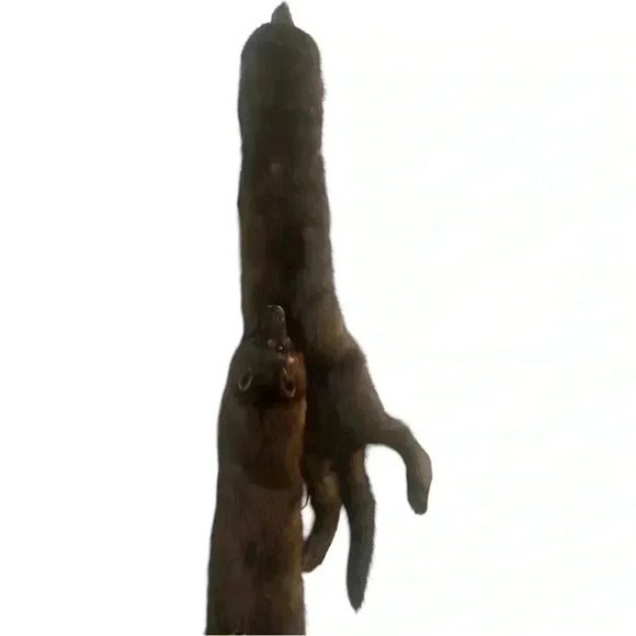 VINTAGE JOSEPH HORNE ACTUAL BODY 3 MINK STOLE - Picture 9 of 9